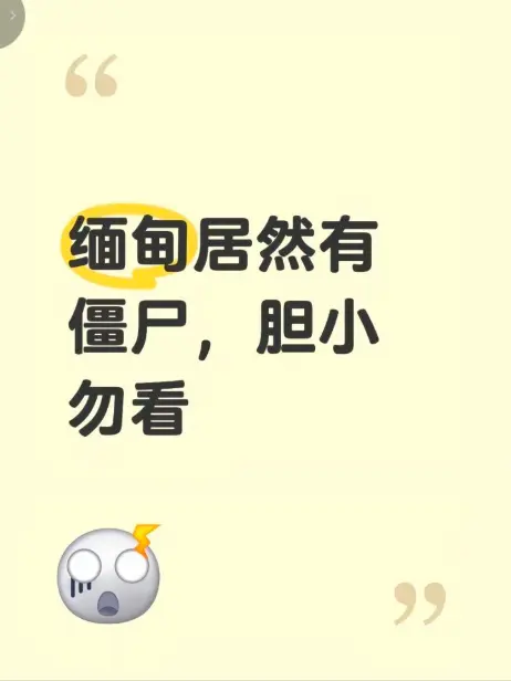 《缅甸僵尸出土事件》高清完整版在线观看 - 揭秘缅北僵尸出土事件真相全程录像 - 无删减免费播放资源