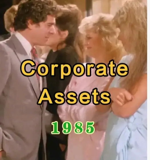 美国经典电影《流动资产》完整版高清免费在线观看无广告 - HD中字画质 - VS影院星空影院双源资源