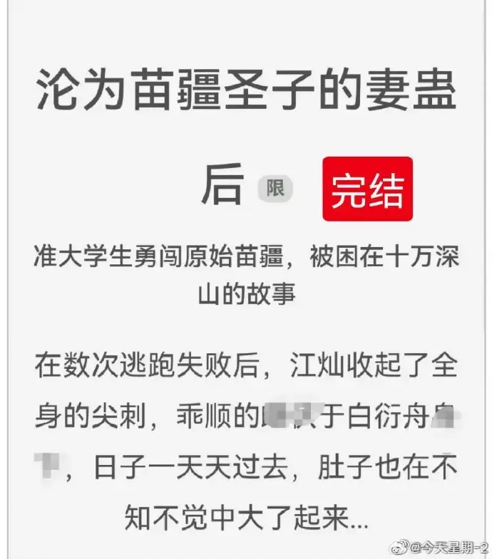 《沦为苗疆圣子的妻蛊后》狐狸雨小说全文免费阅读-无删减完整版在线看-全集资源下载分享推荐