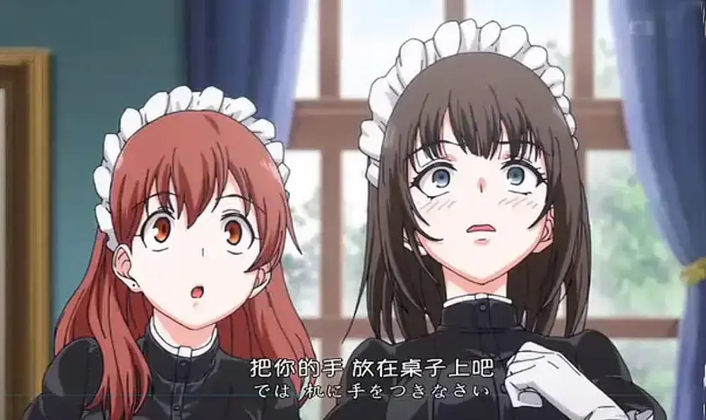 《女仆教育》动漫全集无删减完整版免费在线观看-无广告1080P高清画质-VS动漫风车动漫中字版资源