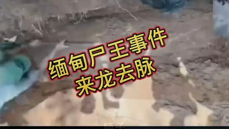 《缅甸僵尸出土事件视频》完整版在线观看免费播放 - 缅北僵尸出土事件始末原视频高清下载，超清未删减全程录像资源下载